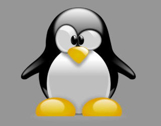 Linux läuft jetzt auch auf einem M1-Mac